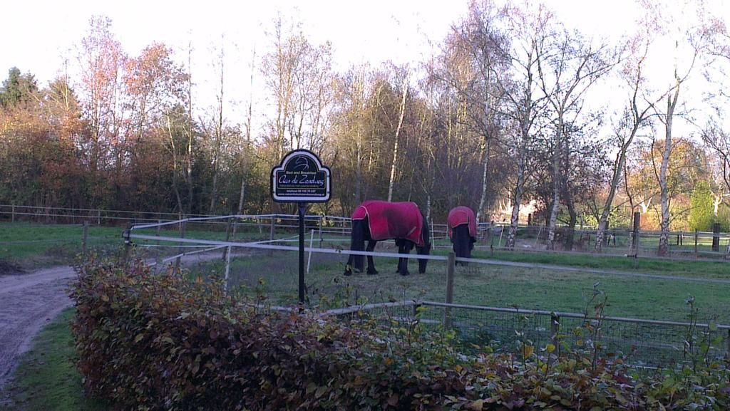 Vakantiehuis "Aan De Zandweg" Villa Roderesch Værelse billede